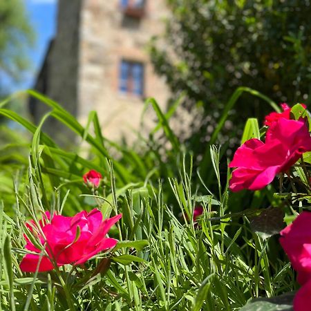 Apartament Mulino In Chianti Gaiole in Chianti Zewnętrze zdjęcie